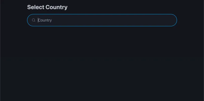Country search with debounce and loading state